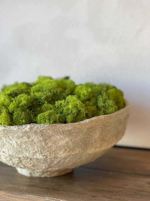 Paper Mache Decor Bowl with Moss