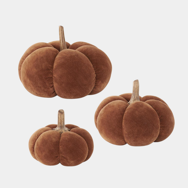 Velvet Brown Pumpkins