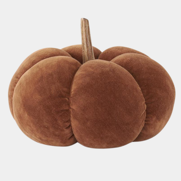 Velvet Brown Pumpkins