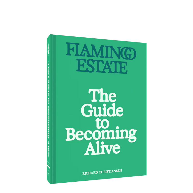 The Guide to Becoming Alive Book