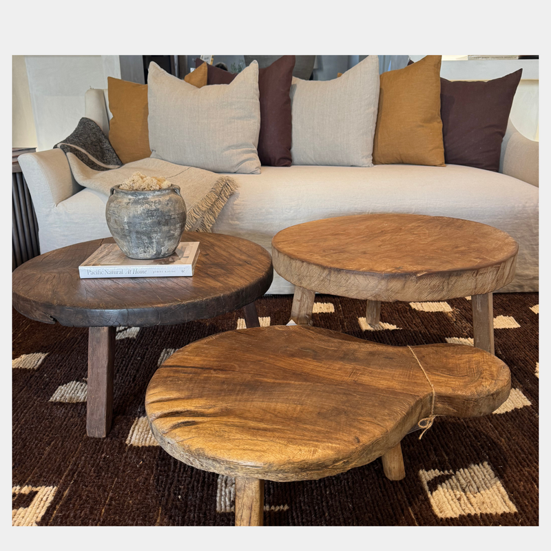 Wabi Mid Century Low Coffee Table in Petite