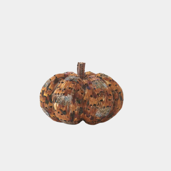 Orange and Brown Feather Pumpkin