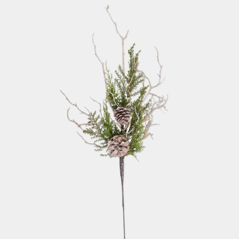 Juniper Stem w/ Twig Pinecones