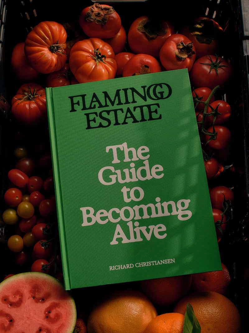 The Guide to Becoming Alive Book