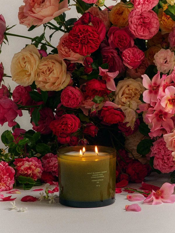 Flamingo Estate's Euphoria Jasmine & Rose Three Wick Candle