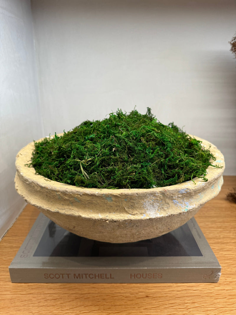 Paper Mache Decor Bowl with Moss