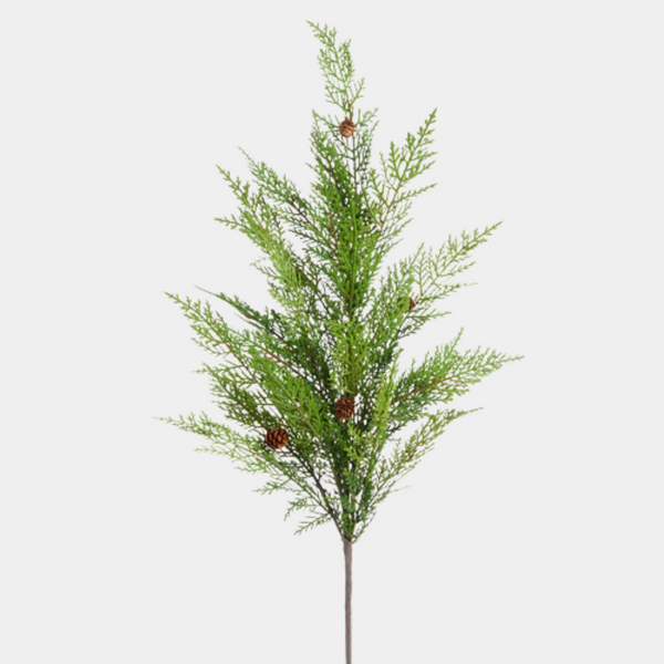 Cedar with Pinecones Spray