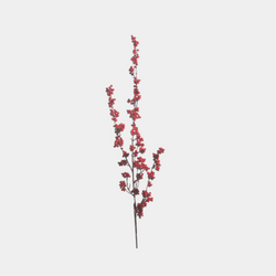 Red Berry Branch