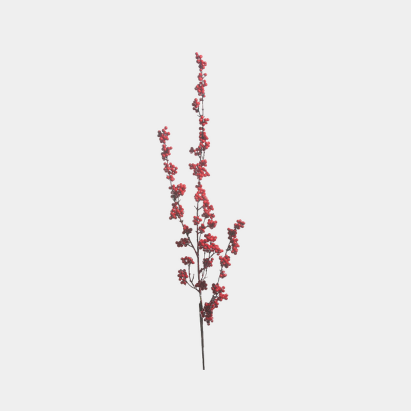 Red Berry Branch