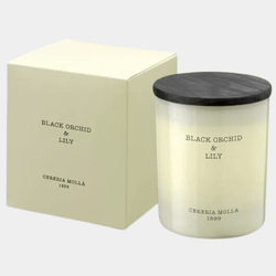 Black Orchid and Lily 3 Wick Candle