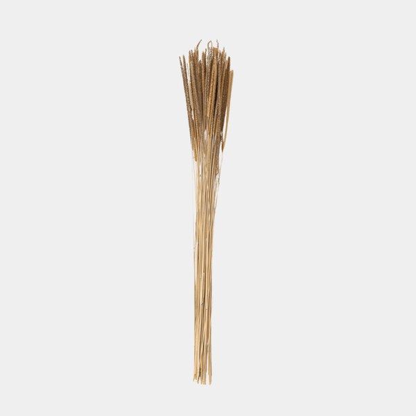 Dried Natural Goldenrod Bunch