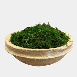 Paper Mache Decor Bowl with Moss