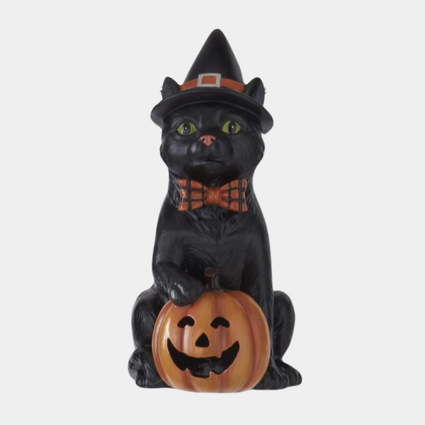 Black Cat with Jack O' Lantern