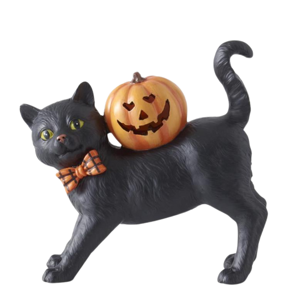 Black Cat with Jack O' Lantern