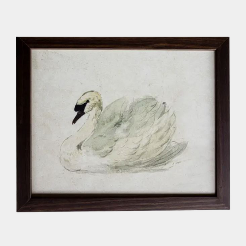 Vintage Framed Print: White Swan