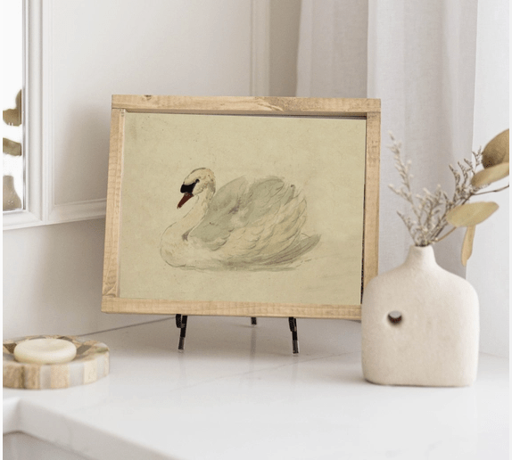 Vintage Framed Print: White Swan
