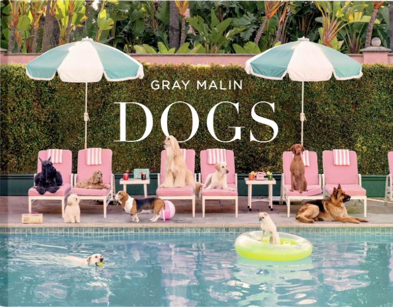 Gray Malin: Dogs