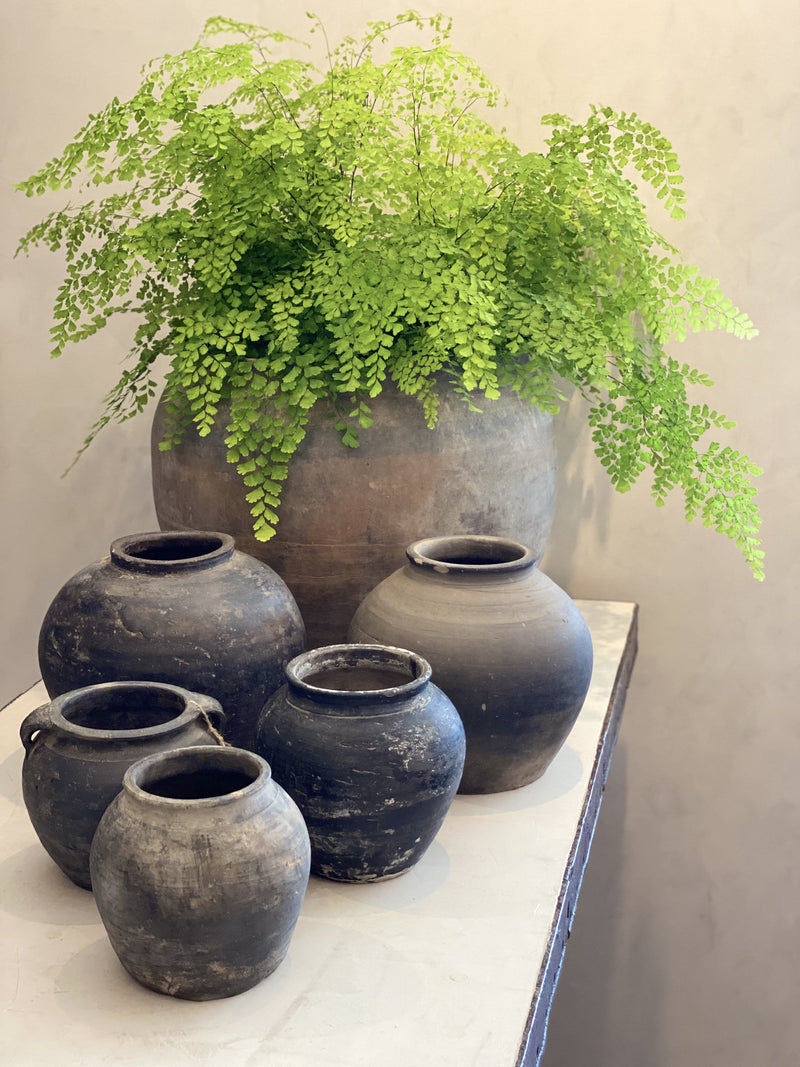 large vintage indoor plant pots Extra Large Vintage Clay Pot – Kier Design Interiors
