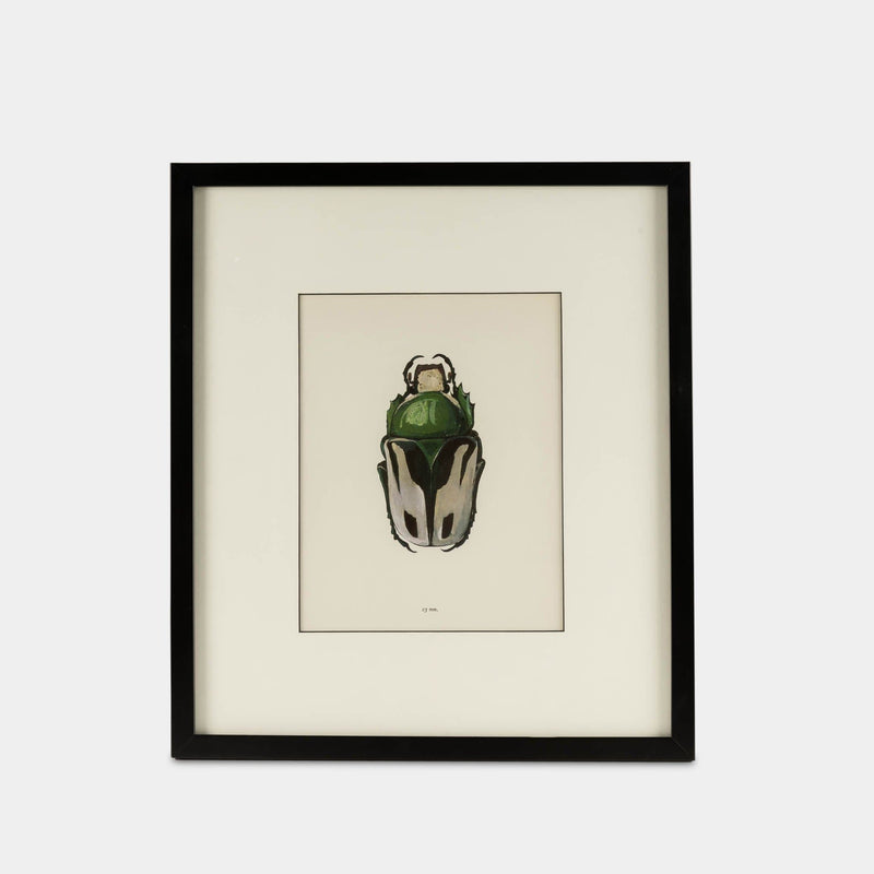 Framed Bug Prints