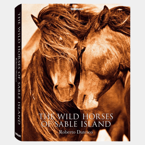 Wild Horses of Sable Island