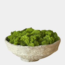 Paper Mache Decor Bowl with Moss